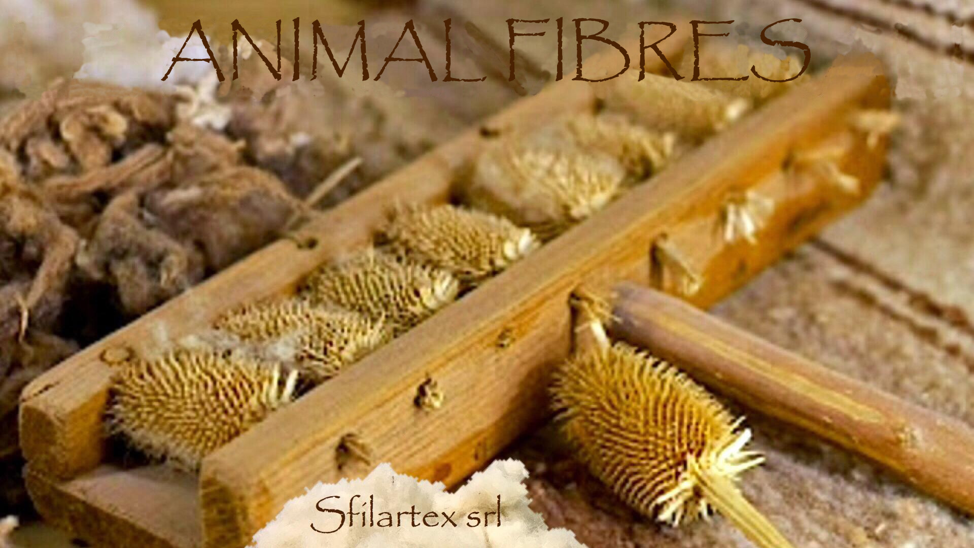Animal Fibres